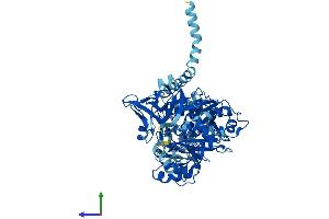 Protein Structure (PS) image for Solute Carrier Family 27 (Fatty Acid Transporter), Member 2 (SLC27A2) (AA 1-620) protein (His tag) (ABIN7562328)