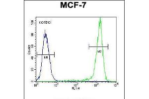 Flow cytometric analysis of MCF-7 cells (right histogram) compared to a negative control cell (left histogram). (Sphingomyelin Synthase 2 抗体  (C-Term))