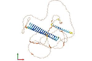 AlphaFold protein structure predicition of Mouse Recombinant Akap5 Protein, UniprotID D3YVF0