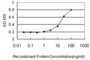 ELISA image for anti-Ubiquitin Specific Peptidase 34 (USP34) (AA 3296-3395) antibody (ABIN564209)