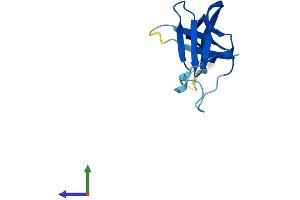 Protein Structure (PS) image for CTF8, Chromosome Transmission Fidelity Factor 8 (CHTF8) (AA 1-121) protein (His tag) (ABIN7546816)