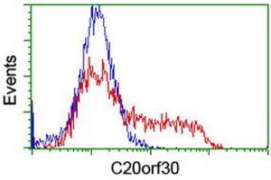 HEK293T cells transfected with either RC201878 overexpress plasmid (Red) or empty vector control plasmid (Blue) were immunostained by anti-C20orf30 antibody (ABIN2455892), and then analyzed by flow cytometry. (C20orf30 抗体)