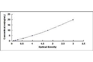 Typical standard curve (Podocan ELISA 试剂盒)
