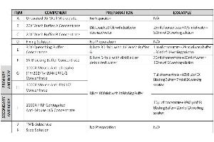 Image no. 2 for Mitogen-Activated Protein Kinase 1/3 (MAPK1/3) ELISA Kit (ABIN1981830)