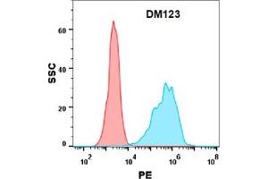 Flow cytometry analysis with Anti-PD-L1 (DM123) on Expi293 cells transfected with human PD-L1 (Blue histogram) or Expi293 transfected with irrelevant protein (Red histogram). (PD-L1 抗体  (AA 19-328))