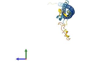 Protein Structure (PS) image for Synaptosomal-Associated Protein, 23kDa (SNAP23) (AA 1-211) protein (His tag) (ABIN7546290)