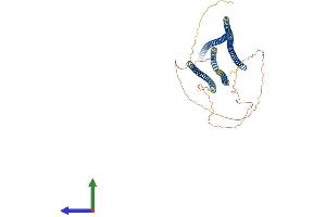 AlphaFold protein structure predicition of Human Recombinant SPDL1 Protein, UniprotID Q96EA4 (CCDC99 Protein (AA 1-605) (His tag))