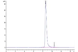 The purity of Cynomolgus SLAMF7 is greater than 95 % as determined by SEC-HPLC.