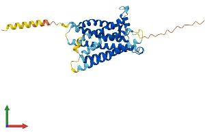 AlphaFold protein structure predicition of Mouse Recombinant Mas1 Protein, UniprotID P30554