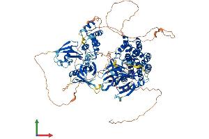 Protein Structure (PS) image for FERM, RhoGEF and Pleckstrin Domain Protein 2 (FARP2) (AA 1-1065) protein (His tag) (ABIN7564787)