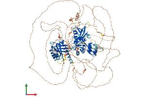 AlphaFold protein structure predicition of Mouse Recombinant Agap2 Protein, UniprotID Q3UHD9 (AGAP2 Protein (AA 1-1186) (His tag))
