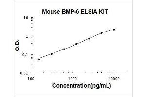 Mouse BMP-6 PicoKine ELISA Kit standard curve