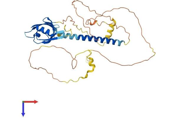 CYTIP Protein (AA 1-359) (His tag)