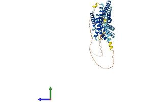 AlphaFold protein structure predicition of Mouse Recombinant Gpr132 Protein, UniprotID Q9Z282 (G Protein-Coupled Receptor 132 Protein (GPR132) (AA 1-382) (His tag))
