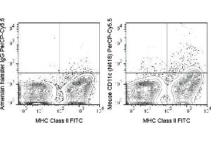 C57Bl/6 splenocytes were stained with Anti-Mouse MHC Class II FITC (ABIN6961666) and 0. (CD11c 抗体  (PerCP-Cy5.5))