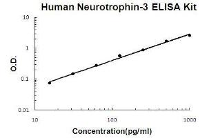 Human Neurotrophin-3 PicoKine ELISA Kit standard curve (Neurotrophin 3 ELISA 试剂盒)