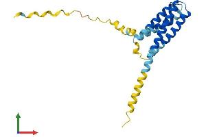 Protein Structure (PS) image for CKLF-Like MARVEL Transmembrane Domain Containing 3 (CMTM3) (AA 1-182) protein (His tag) (ABIN7546494)