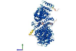 Protein Structure (PS) image for Tubulin Folding Cofactor D (TBCD) (AA 1-1192) protein (His tag) (ABIN7555712)