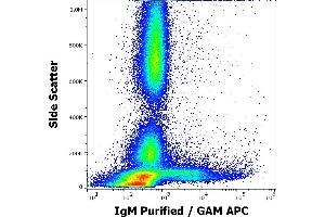 Flow cytometry surface staining pattern of human peripheral whole blood stained using anti-human IgM (CH2) purified antibody (concentration in sample 4 μg/mL, GAM APC). (小鼠 anti-人 IgM Antibody)