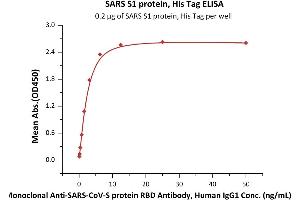 Immobilized SARS S1 protein, His Tag (ABIN6952622) at 2 μg/mL (100 μL/well) can bind Monoclonal Anti-SARS-CoV-S protein RBD Antibody, Human IgG1 with a linear range of 0.