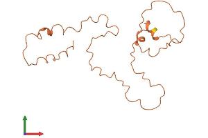 AlphaFold protein structure predicition of Human Recombinant KRTAP9-7 Protein, UniprotID A8MTY7