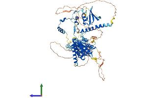 Protein Structure (PS) image for SUZ12 Polycomb Repressive Complex 2 Subunit (SUZ12) (AA 1-741) protein (His tag) (ABIN7564256)