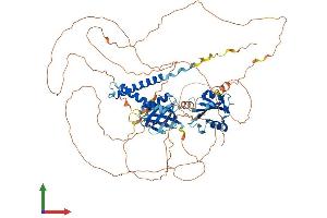 Protein Structure (PS) image for SH2B Adaptor Protein 1 (SH2B1) (AA 1-756) protein (His tag) (ABIN7564832)