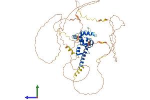 Protein Structure (PS) image for HIV-1 Rev Binding Protein (HRB) (AA 1-562) protein (His tag) (ABIN7551989)