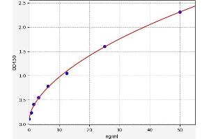 Typical standard curve (Kallikrein 8 ELISA 试剂盒)