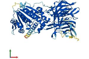 AlphaFold protein structure predicition of Human Recombinant LCMT2 Protein, UniprotID O60294