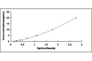 Typical standard curve (SPI1 ELISA 试剂盒)