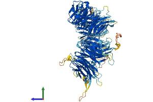 Protein Structure (PS) image for WD Repeat Domain 6 (WDR6) (AA 1-1121) protein (His tag) (ABIN7556001)