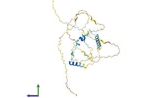 AlphaFold protein structure predicition of Human Recombinant TSSC4 Protein, UniprotID Q9Y5U2