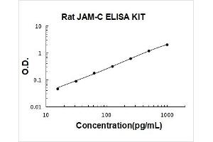Typical Standard Curve