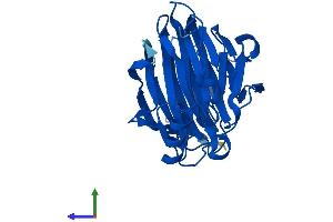 Protein Structure (PS) image for Pirin (PIR) (AA 1-290) protein (His tag) (ABIN7550798)