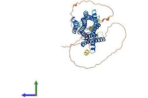 Protein Structure (PS) image for Muscarinic Acetylcholine Receptor M1 (CHRM1) (AA 1-460) protein (His tag) (ABIN7562849)