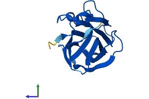 Protein Structure (PS) image for Heat Shock Protein Family B (Small), Member 11 (HSPB11) (AA 1-143) protein (His tag) (ABIN7561043)