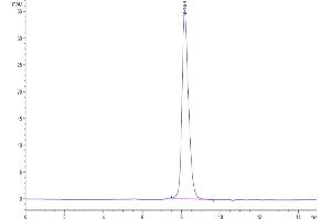 Size-exclusion chromatography-High Pressure Liquid Chromatography (SEC-HPLC) image for T Cell Immunoreceptor with Ig and ITIM Domains (TIGIT) (AA 22-141) protein (His-Avi Tag,Biotin) (ABIN7275730)