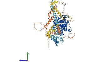 AlphaFold protein structure predicition of Human Recombinant NEK11 Protein, UniprotID Q8NG66
