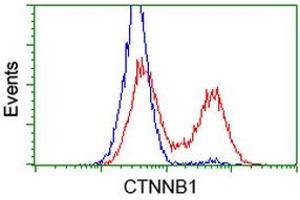 HEK293T cells transfected with either RC208947 overexpress plasmid (Red) or empty vector control plasmid (Blue) were immunostained by anti-CTNNB1 antibody (ABIN2454135), and then analyzed by flow cytometry. (CTNNB1 抗体)