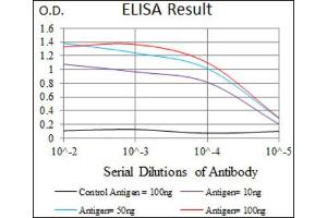 Red: Control Antigen (100ng) ; Purple: Antigen (10ng) ; Green: Antigen (50ng) ; Blue: Antigen (100ng). (Intestinal Alkaline Phosphatase 抗体  (AA 397-458))