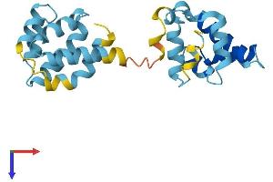 CRADD Protein (AA 1-199) (His tag)