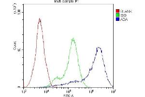 anti-Adenosine Deaminase (ADA) (AA 135-363) antibody