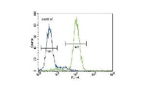 HMGCS2 Antibody (C-term) (ABIN390764 and ABIN2841022) flow cytometric analysis of HepG2 cells (right histogram) compared to a negative control cell (left histogram). (HMGCS2 抗体  (C-Term))