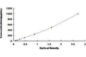 ELISA image for Signal Transducer and Activator of Transcription 6, Interleukin-4 Induced (STAT6) ELISA Kit (ABIN6959480)