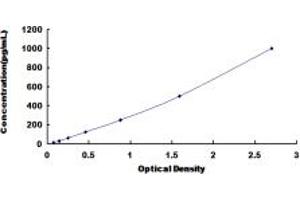 Typical standard curve (STAT6 ELISA 试剂盒)