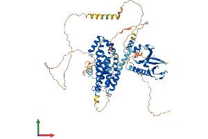 Protein Structure (PS) image for rho Guanine Nucleotide Exchange Factor (GEF) 4 (ARHGEF4) (AA 1-690) protein (His tag) (ABIN7552204)