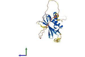 AlphaFold protein structure predicition of Human Recombinant DDIT4 Protein, UniprotID Q9NX09