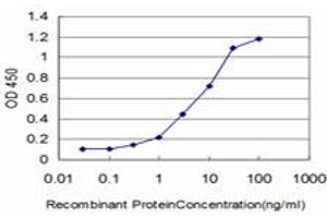Detection limit for recombinant GST tagged FLT4 is approximately 0. (FLT4 抗体  (AA 34-133))