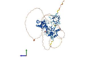 AlphaFold protein structure predicition of Human Recombinant CHFR Protein, UniprotID Q96EP1